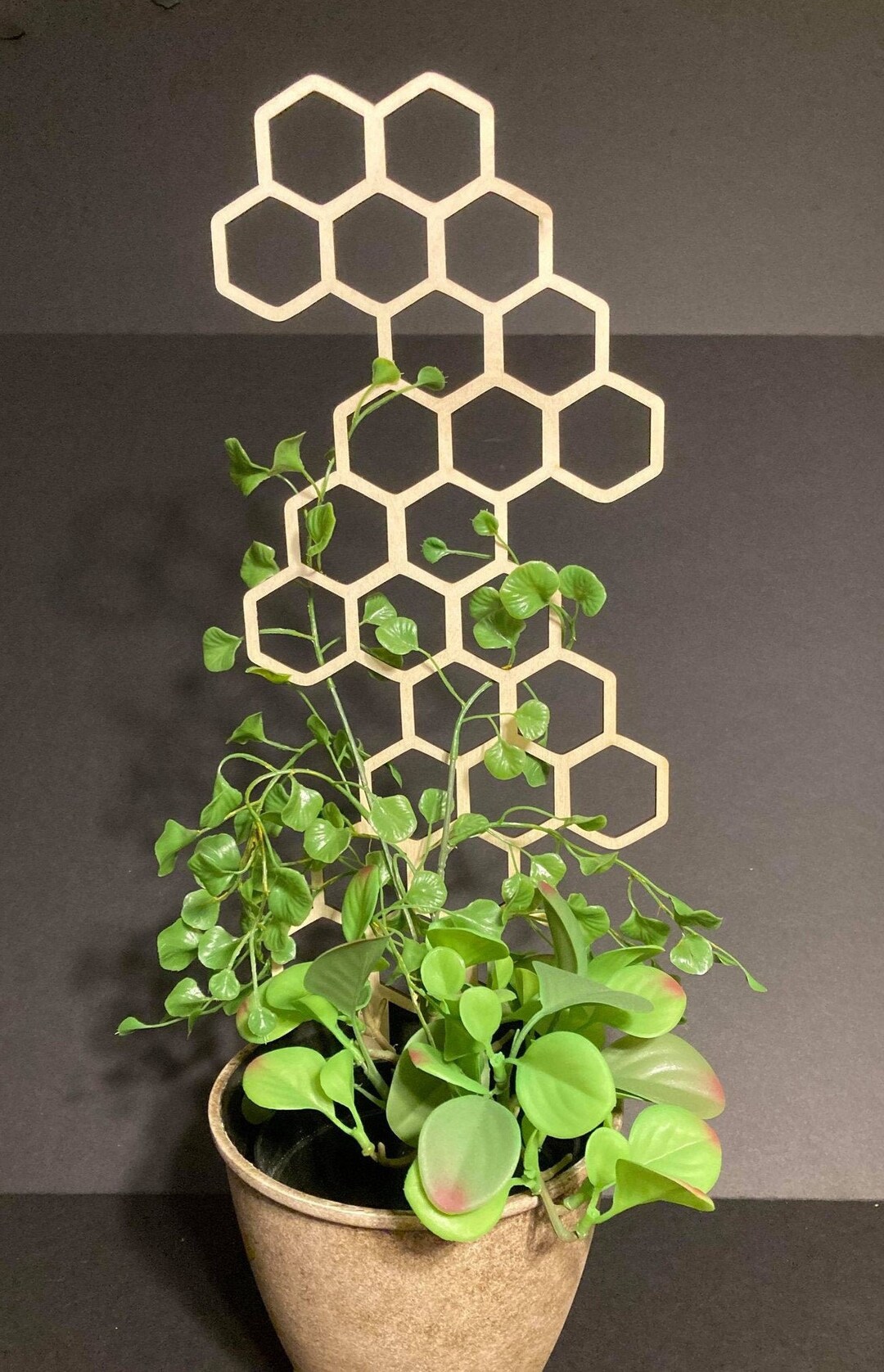 Zig Zag 1/8 Thickness Plant Trellis FAST SHIPPING Houseplant