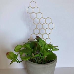 17'' 7'' 10'' Plant Trellis 1/4 Inch Thick Stain Finish Clearcoat Honeycomb Houseplant Trellis Indoor Garden Trellis Insured Shipping image 9