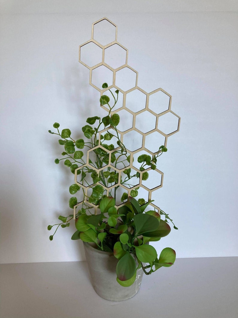 17'' 7'' 10'' Plant Trellis 1/4 Inch Thick Stain Finish Clearcoat Honeycomb Houseplant Trellis Indoor Garden Trellis Insured Shipping image 5