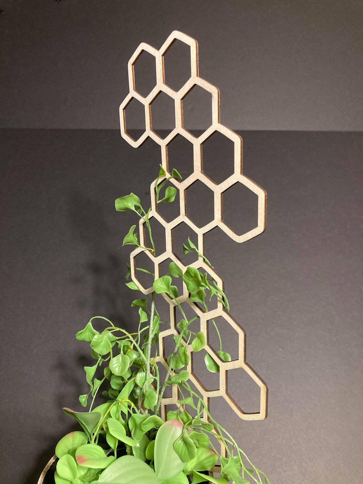 Zig Zag 1/8 Thickness Plant Trellis FAST SHIPPING Etsy