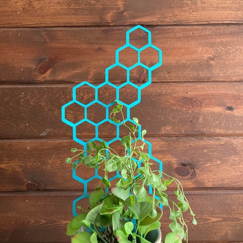 17'' 7'' 10''| Plant Trellis| 1/4 Inch Thick| Stain Finish| Clearcoat Honeycomb| Houseplant Trellis| Indoor Garden Trellis| Insured Shipping