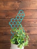 17'' 7'' 10''  | Plant Trellis | Stain Finish | Clearcoat Honeycomb | Houseplant Trellis | Indoor Garden Trellis  | Insured Shipping 