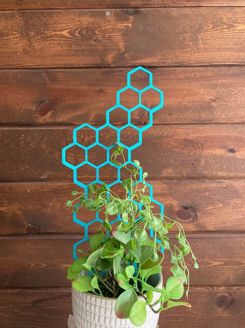 17'' 7'' 10'' Plant Trellis 1/4 Inch Thick Stain Finish Clearcoat Honeycomb Houseplant Trellis Indoor Garden Trellis Insured Shipping image 1