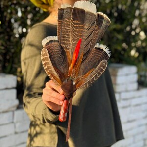 Röd Jaspis Vital Eld - Shamanisk Bönefantast