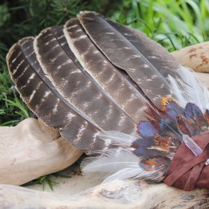 May include: A brown and white feather fan with blue, red, and orange accents. The fan is tied with a brown leather strap and has a clear crystal attached.