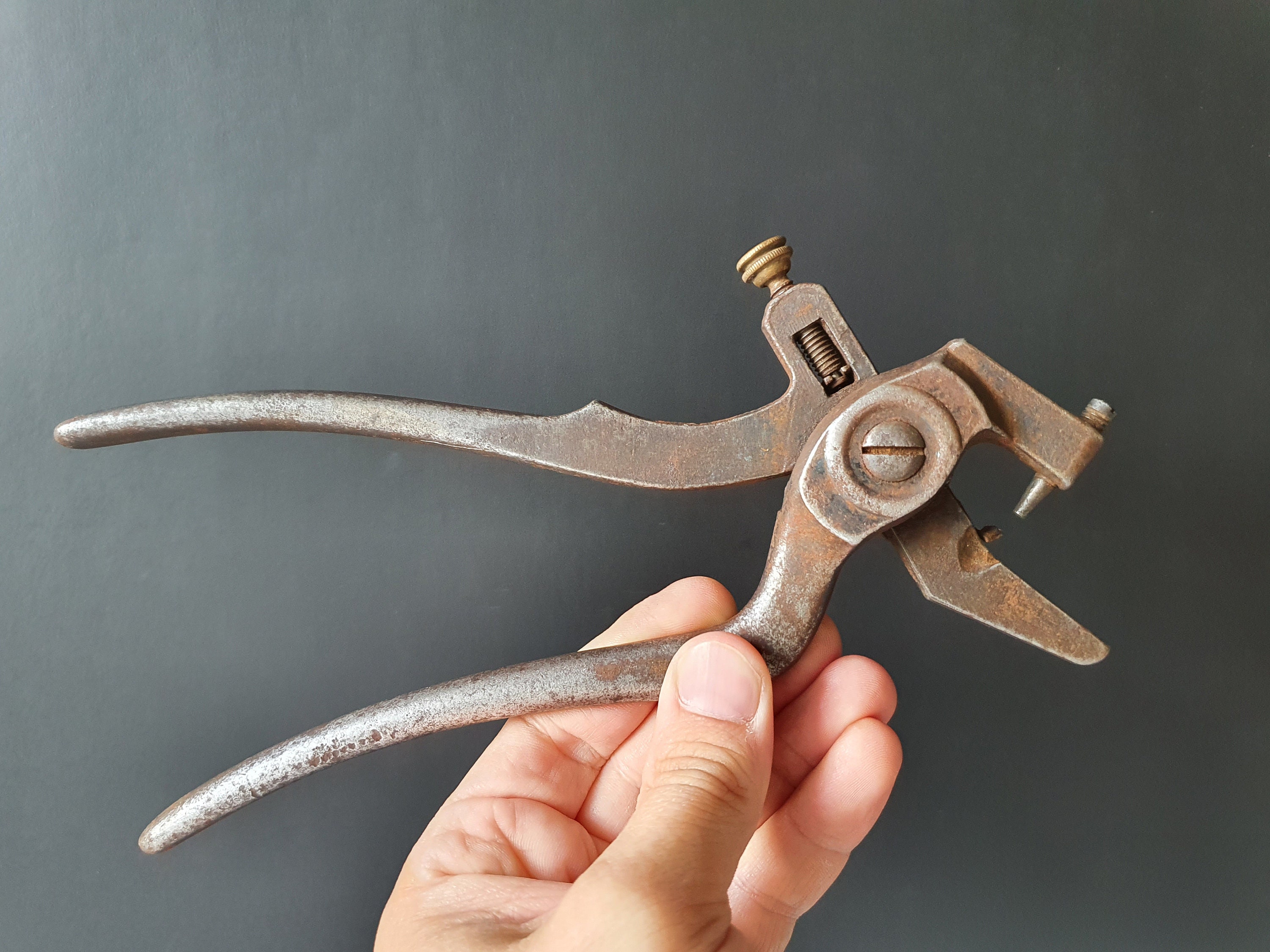 Old German Tool Schmidt Zange Nº2 D.R.G.M. Vintage Saw Set Etsy