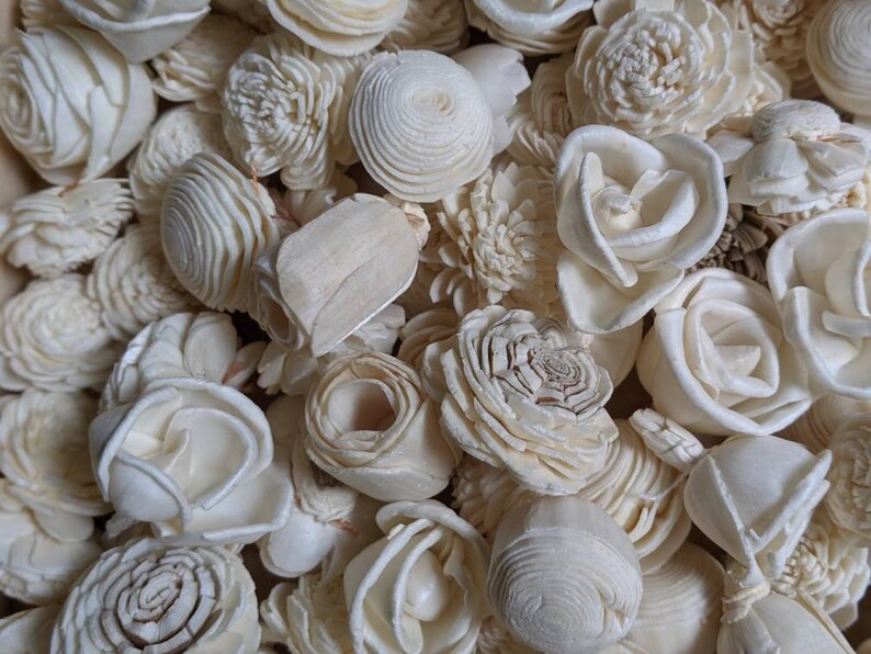 100 pack of mini Sola flowers assortment