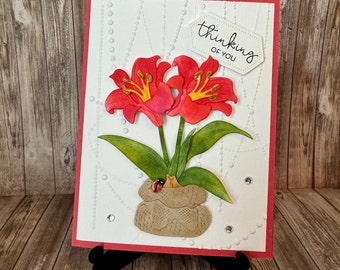 Thinking of You Amaryllis Flower Card for the Flower Lover