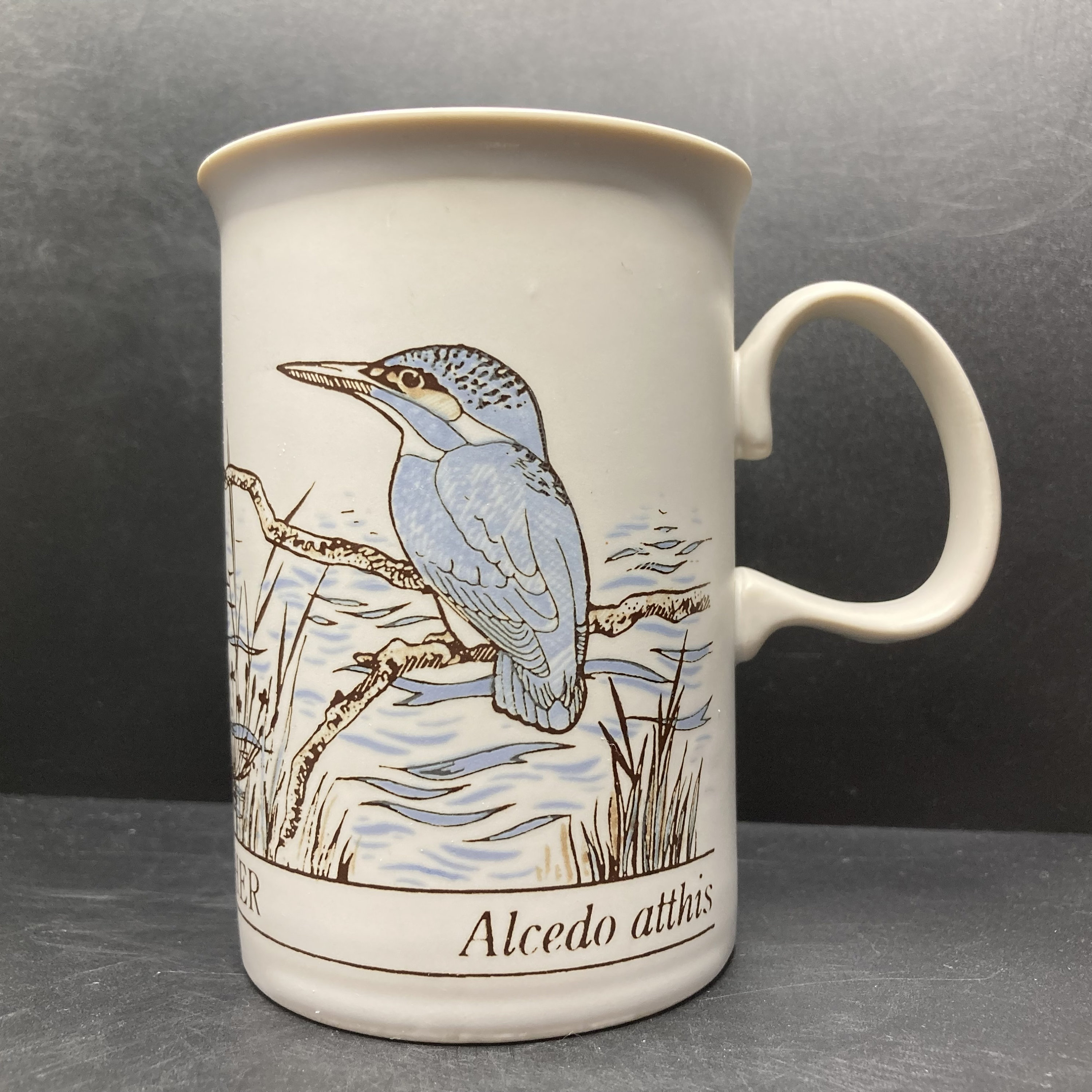 Dunoon birds - Etsy 日本 Dunoon birds - Etsy 日本