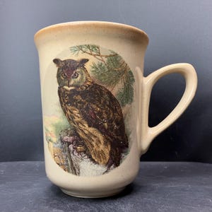 May include: Cream ceramic mug with a detailed illustration of a brown owl on a tree stump, set against green foliage. The mug has a rounded handle and a slightly flared rim. The mug is suitable for hot beverages.