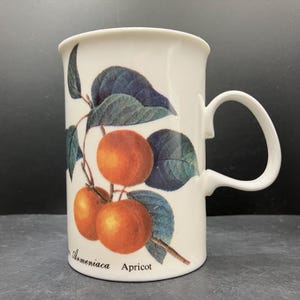 Vintage Dunoon Malvern Redoutes tryck Röda vinbär och aprikos fint benporslinsmugg tillverkad i England (B1)
