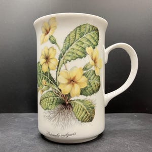 May include: White ceramic mug featuring a botanical illustration of yellow primroses, green leaves, and roots. The mug has a curved handle and the text "Primula vulgaris" at the base. A decorative floral design for the kitchen.