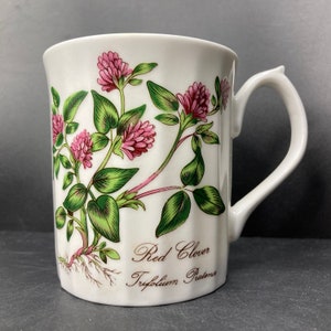 Vintage Elizabethan Red Clover Trifolium Pratense Botanical Series faceted fine bone china mug made in England