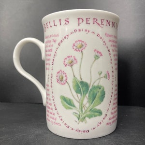 Vintage Daisy Bellis Perennis Floral Cameo fine bone china mug The National Trust made in Britain