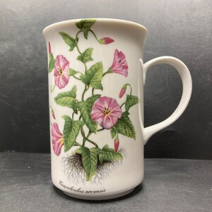Vintage St George Convolvulus Arvensis Field Bindweed floral fine bone china mug made in England
