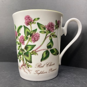 Vintage Elizabethan Red Clover Trifolium Pratense floral fine bone china mug Botanical Series made in England