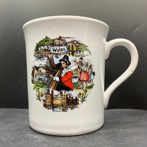 Vintage Wales Souvenir Keramisk Mugg (Welsh Harp Eisteddfod Menai Bridge Tenby Harbour Caernarvon Castle Welsh Pony) Tillverkad i England *Felaktig