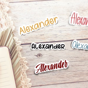 Custom Notebook Labels for School / Notebook Decoration Stickers / Personalized Subject Labels / Notebook / Folder Labels / Binder Labels