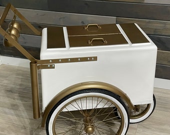 Carrito Paletero (mini) ENVIO GRATIS