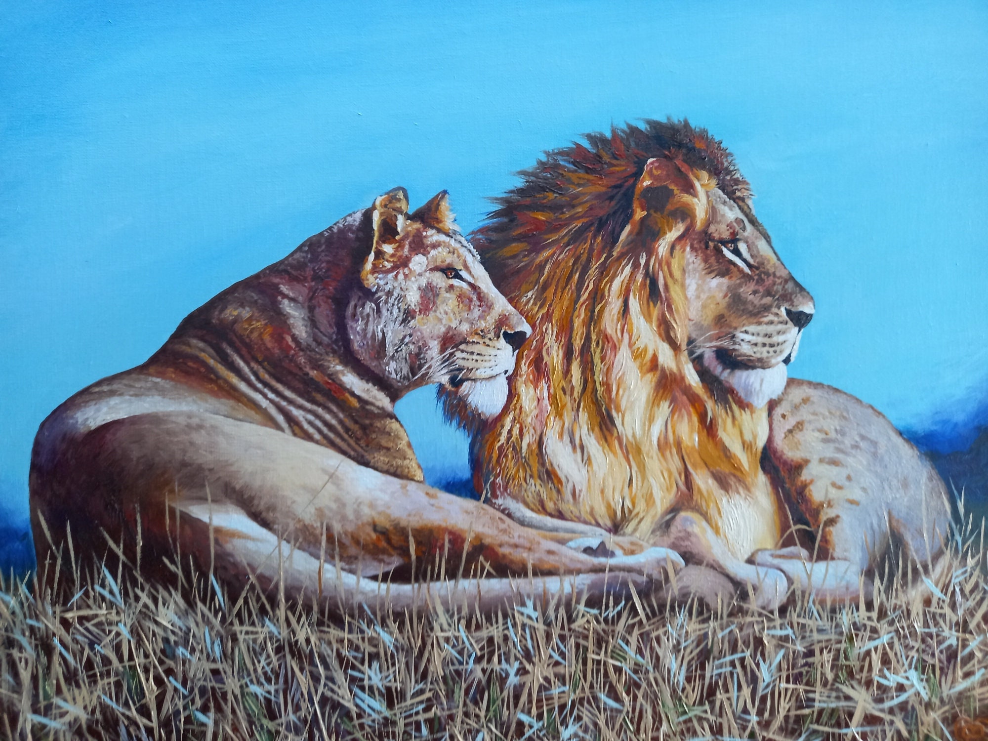 ZWPT1136 two animals lions handmade painted oil painting art on Canvas