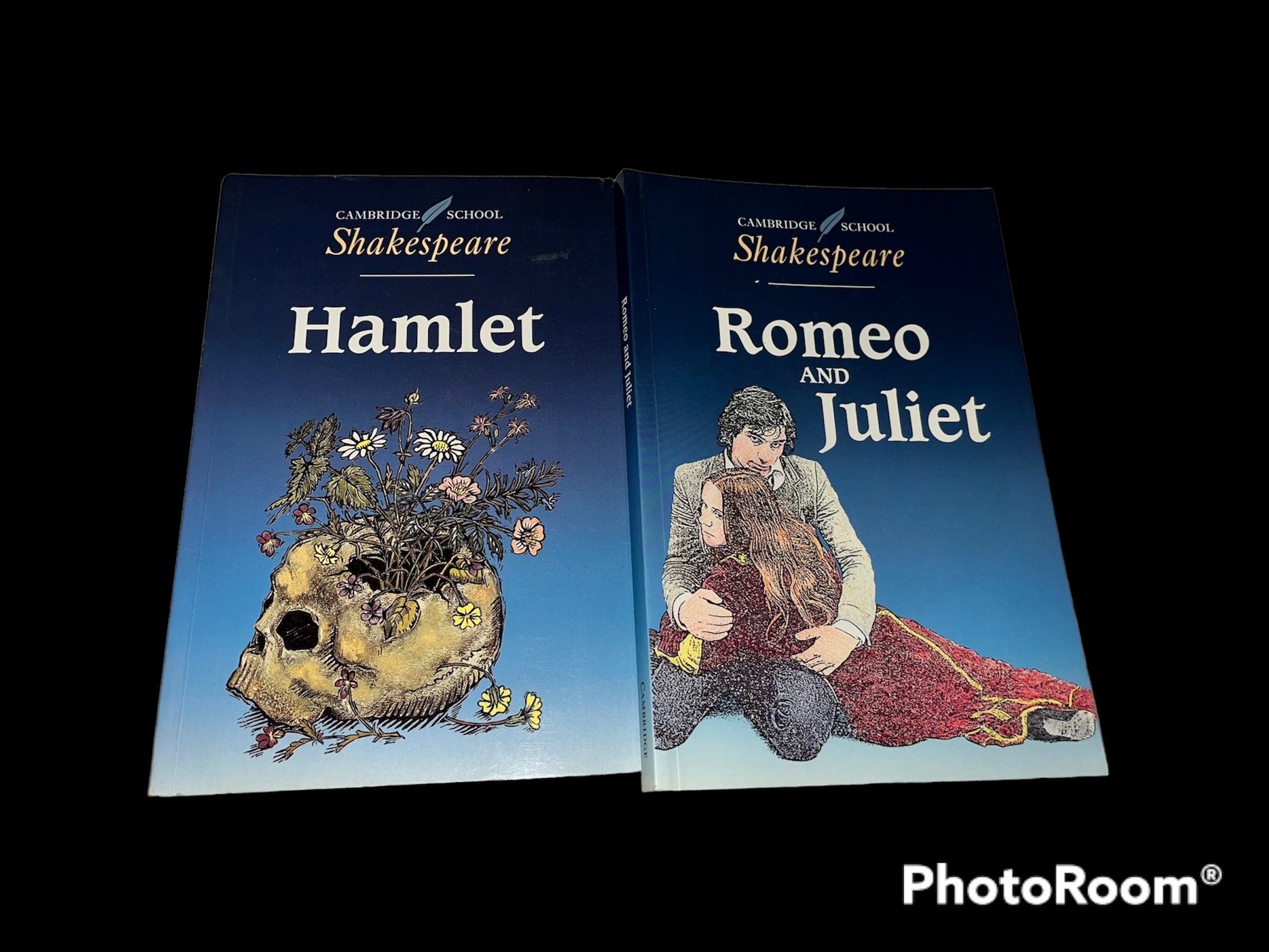 Romeo And Juliet Textbook ar.inspiredpencil.com