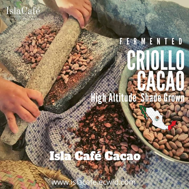 Peut inclure: Gros plan sur une personne qui moud des f&egrave;ves de cacao &agrave; l'aide d'un mortier et d'un pilon en pierre traditionnels. Les f&egrave;ves sont &eacute;tiquet&eacute;es "FERMENTED CRIOLLO CACAO High Altitude Shade Grown" et "Isla Caf&eacute; Cacao". L'image montre &eacute;galement un bol de f&egrave;ves de cacao avec une carte du Mexique sur le c&ocirc;t&eacute;.
