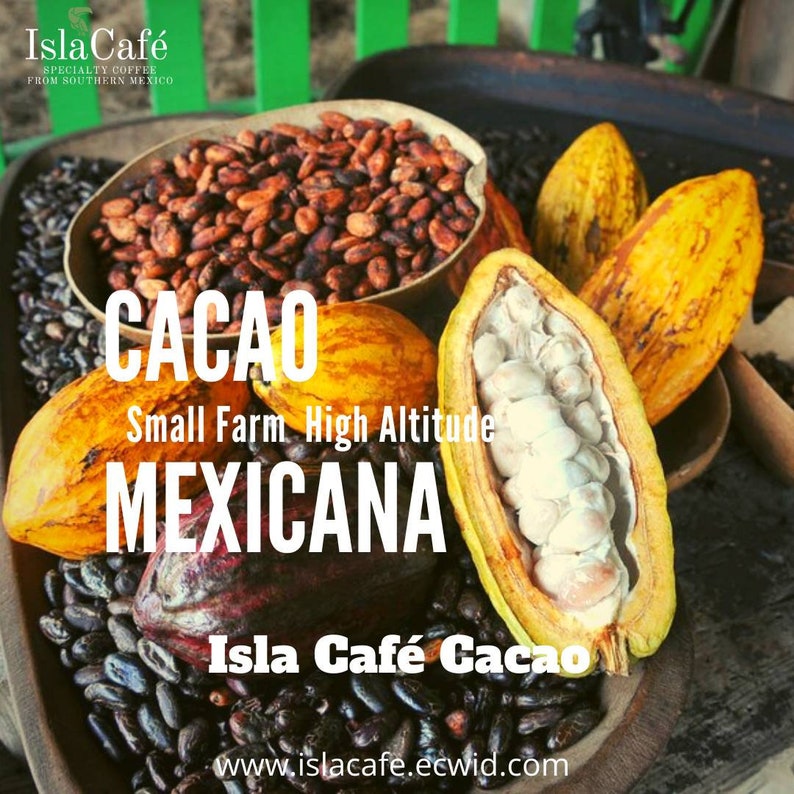 Cacao Nibs 100 Mexican Grown and Processed Etsy