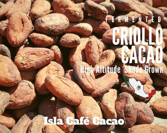 Cacao Beans Organic Raw Juarez, Fermented Criollo Chiapas, Organic Cocoa, Sugar Free, Gluten Free, Non GMO, Freshly Harvested From Mexico