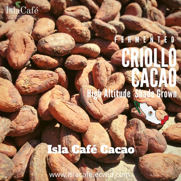 Cacao Beans Organic Raw Juarez, Fermented Criollo Chiapas, Organic Cocoa, Sugar Free, Gluten Free, Non GMO, Freshly Harvested From Mexico