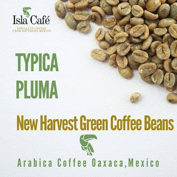 Oaxacan Green Coffee Beans Typica Pluma Single Orgin Pluma Etsy