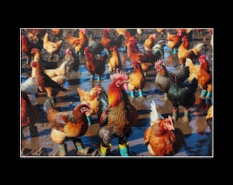 Dive into Muddy Fun with Our "Chickens in Boots" Puzzle!  (520, 1014-pieces)