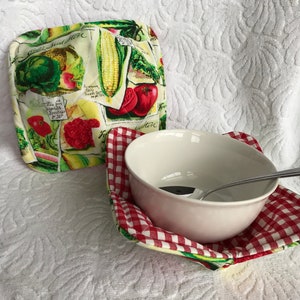 Single Bowl Cozy - Veggie Picnic