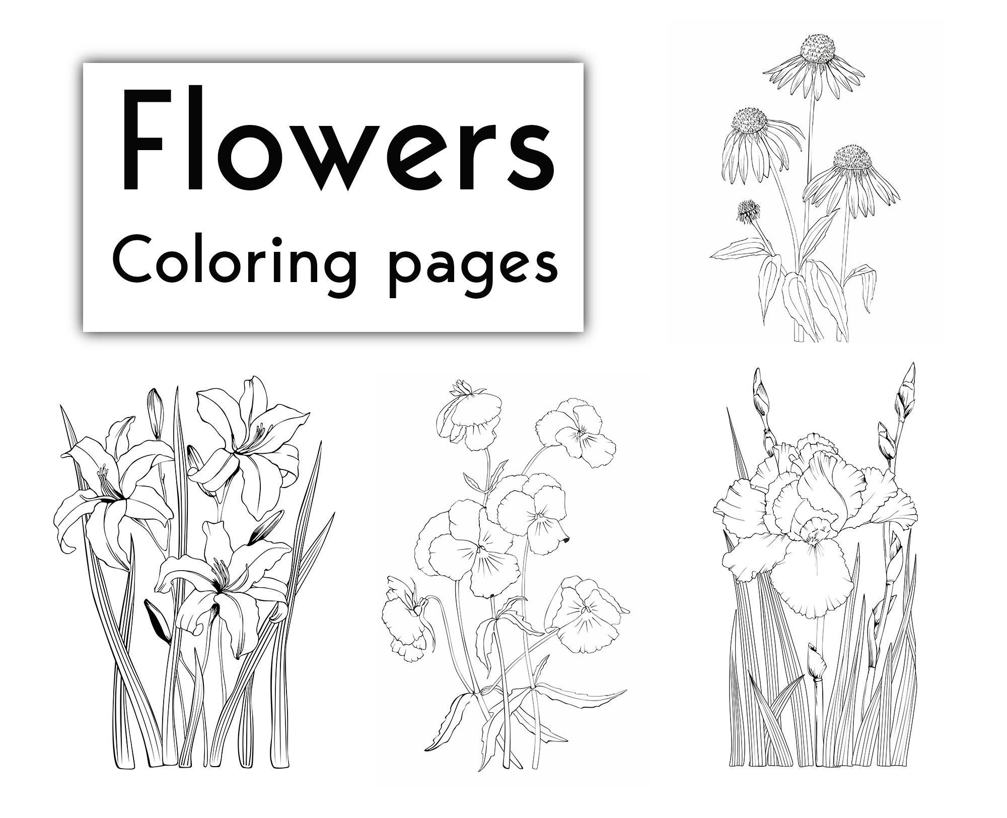 Flowers coloring pages. | Etsy