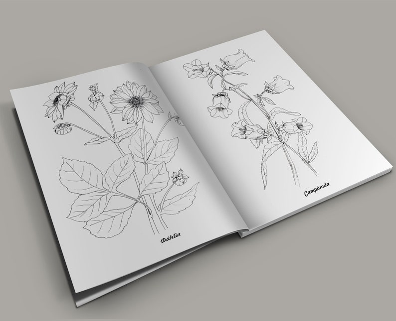 Coloring Book for Adult pdf Botanical flower illustrations ...