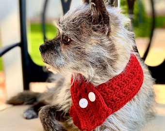 crochet dog scarf for beginners