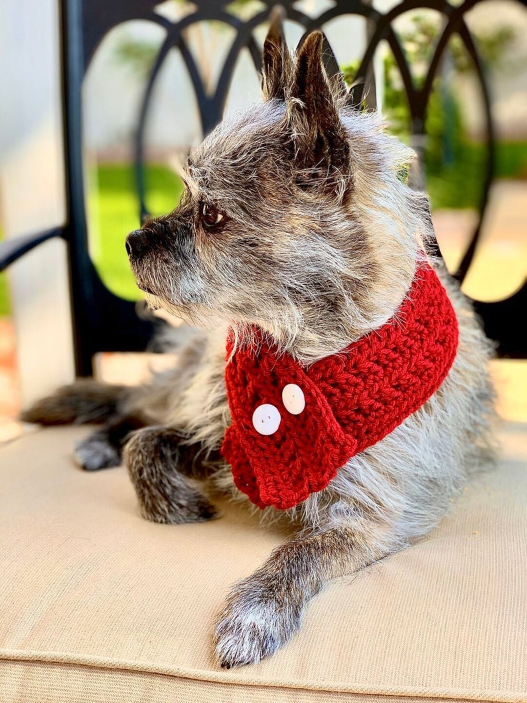 Dog Scarf PATTERN Scarf Pattern Dog Accessory Dog Collar Etsy