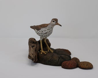 Spotted Sandpiper, wildfowl carving, wood sculpture, gift for a bird lover or beach goer