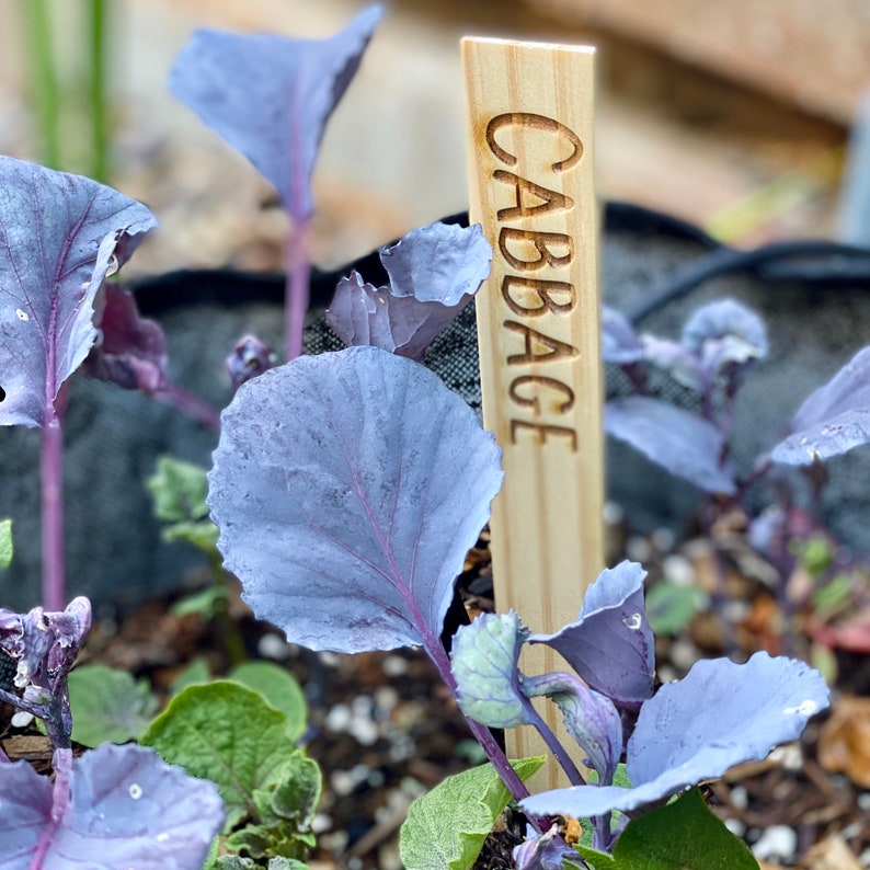 10 Engraved Wooden Garden Stakes Personalized Vegetable & Etsy