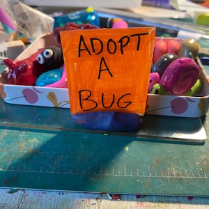 ADOPTÉR EN INSEKTSVÄN