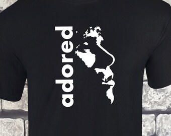 the north face ian brown t shirt