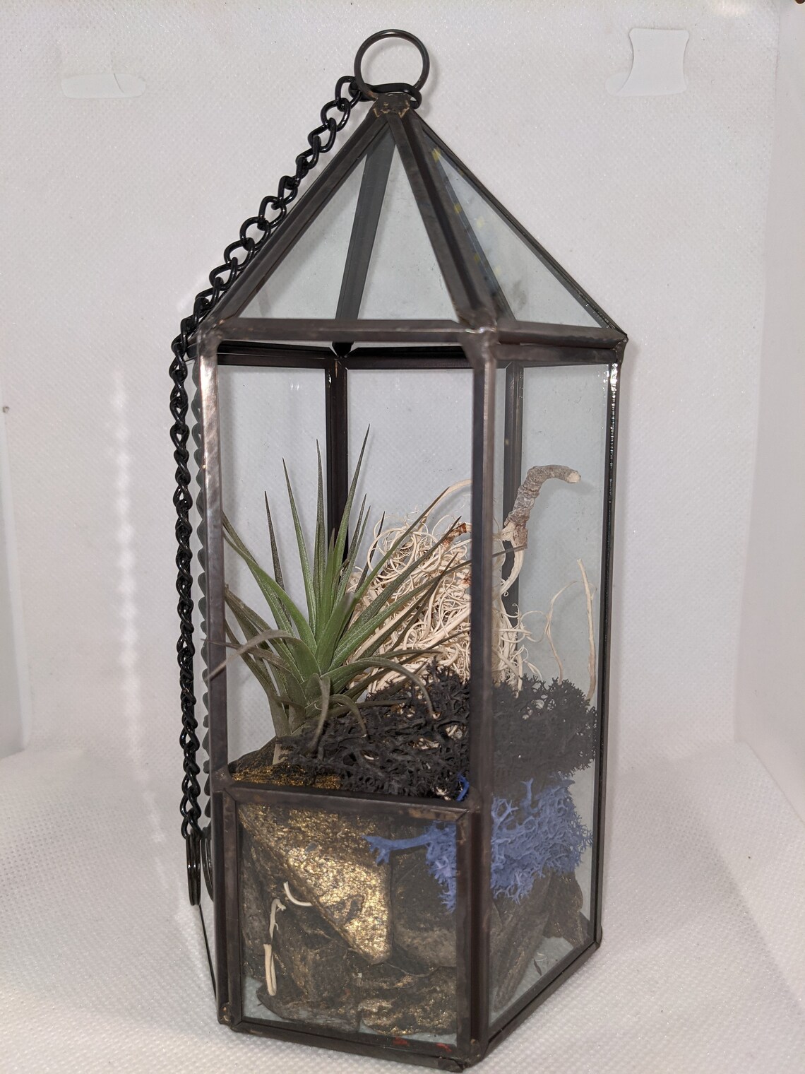 Glass Terrarium Large Lantern display includes air plant and Etsy
