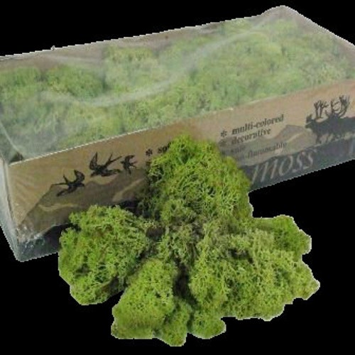 Reindeer Moss light green  preserved Decorative moss ideal for floral arrangements, Air plants glass bowls, terrariums wire rings and floral