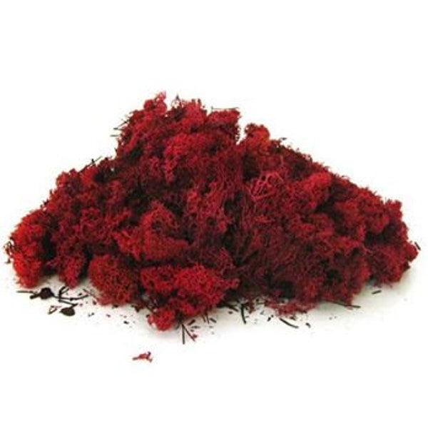 Reindeer Moss Red preserved Decorative moss ideal for floral arrangements, Air plants glass bowls, terrariums wire rings and floral displays