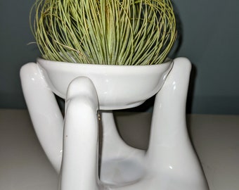 Air Plant Display Large ceramic hand  (10x 12 cm )in white including an air plant of your choice