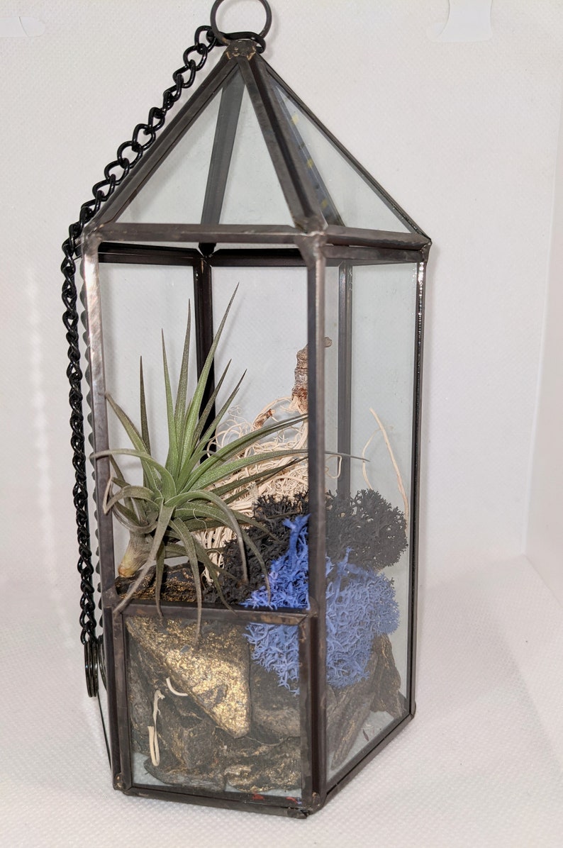 Glass Terrarium Large Lantern display includes air plant and Etsy