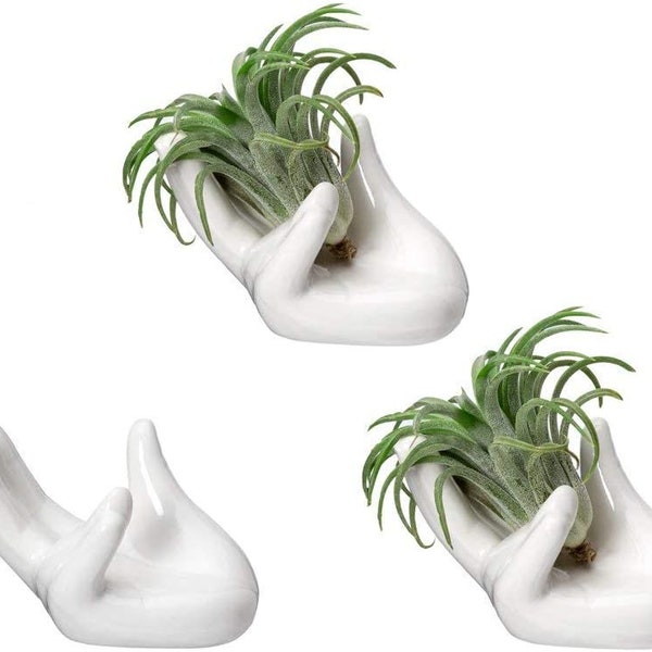 Ceramic Hand Planter for Air Plants 3 Pack Small Air Plant Pot , Holder Air plant Containers,  Decorative Planters, Pots for indoor plants