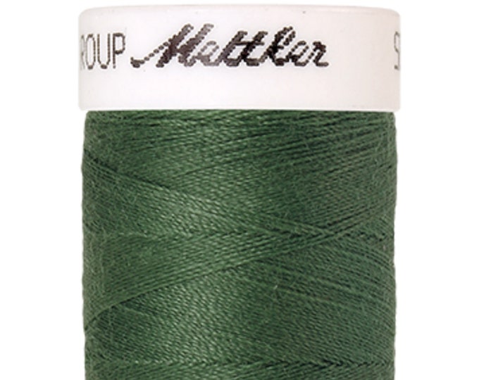 Seralon 200m col. 844 (Asparagus) Nähgarn von Amann Mettler - Hochwertiges Nähgarn für Näharbeiten - 200 Meter auf der Rolle – Farbe Asparag