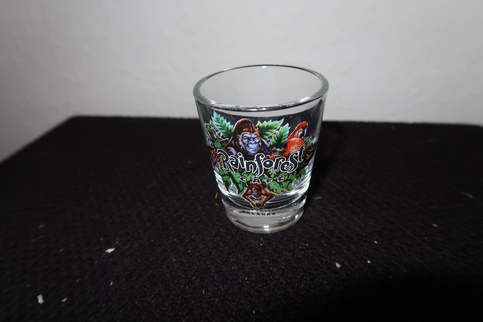 Rainforest Cafe Orlando Shot Glass Etsy