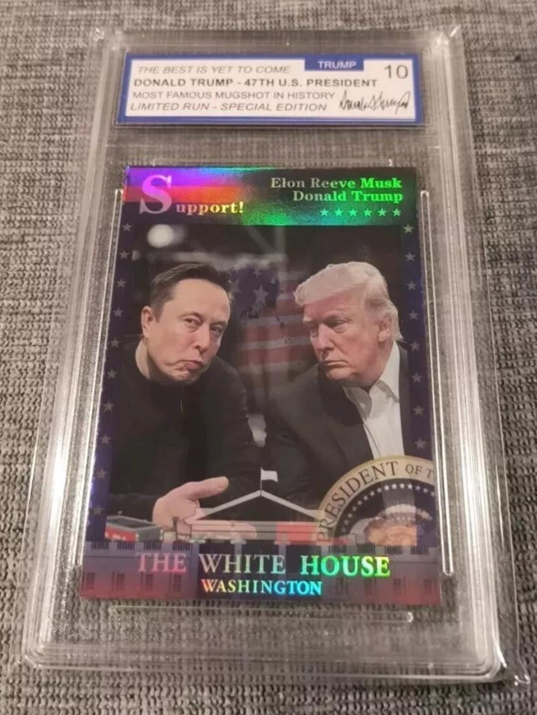 Donald Trump Appoints Elon Musk &amp; Ramaswamy To Lead D.O.G.E, Dogecoin Price To