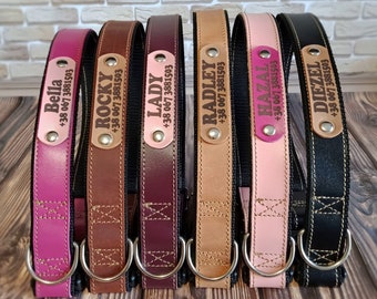 Leather Dog Collar with Leather Name Plate, Personalized Dog Collar, Custom Dog Collars for Dogs, Puppy Collars, Engraved Dog Collar